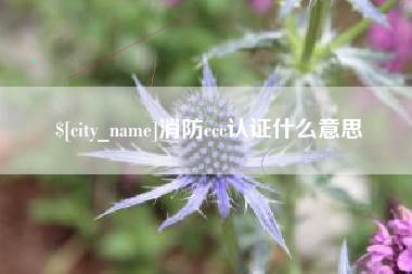 梁山消防ccc认证什么意思