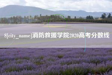 梁山消防救援学院2020高考分数线