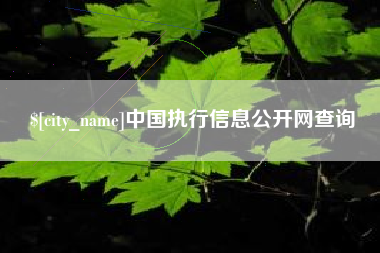梁山中国执行信息公开网查询
