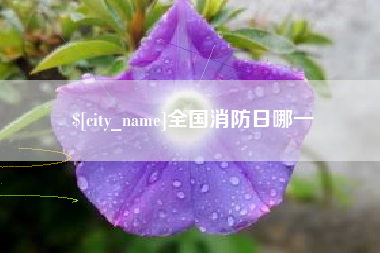梁山全国消防日哪一