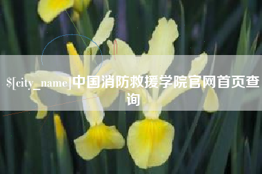 梁山中国消防救援学院官网首页查询