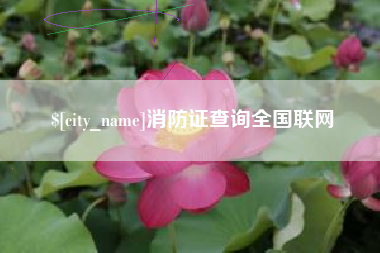 梁山消防证查询全国联网