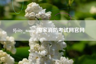 梁山国家消防考试网官网