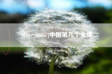 梁山中国第九个金牌