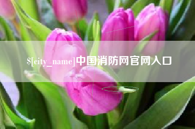 梁山中国消防网官网入口