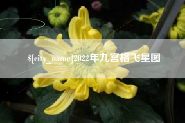 梁山2022年九宫格飞星图