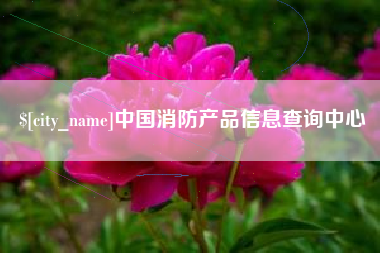 梁山中国消防产品信息查询中心