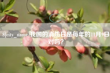 梁山我国的消防日是每年的11月9日对吗？