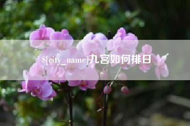 梁山九宫如何排日