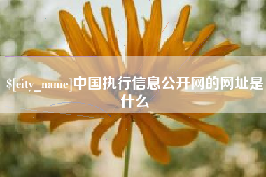 梁山中国执行信息公开网的网址是什么