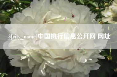 梁山中国执行信息公开网 网址