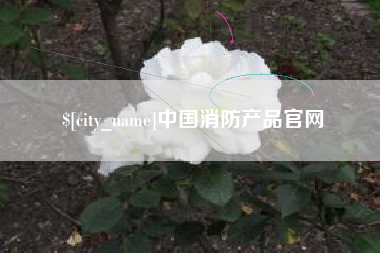 梁山中国消防产品官网