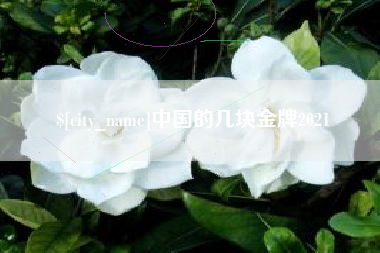梁山中国的几块金牌2021
