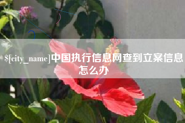 梁山中国执行信息网查到立案信息怎么办