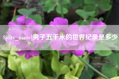 梁山男子五千米的世界纪录是多少