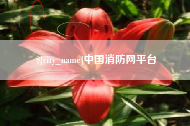 梁山中国消防网平台