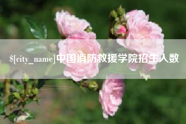 梁山中国消防救援学院招生人数