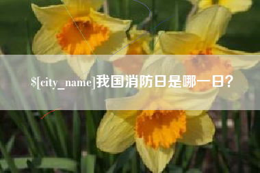 梁山我国消防日是哪一日？