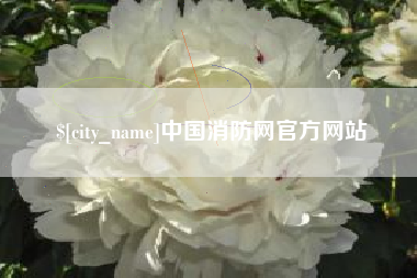 梁山中国消防网官方网站