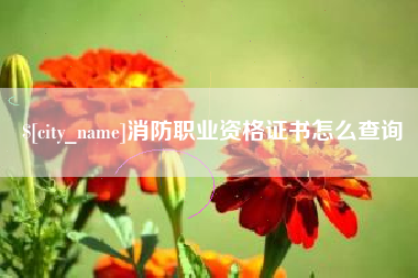 梁山消防职业资格证书怎么查询