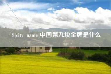 梁山中国第九块金牌是什么