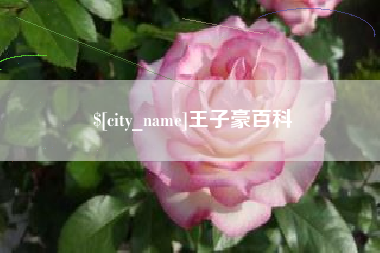 梁山王子豪百科