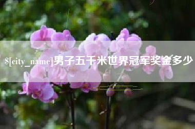 梁山男子五千米世界冠军奖金多少