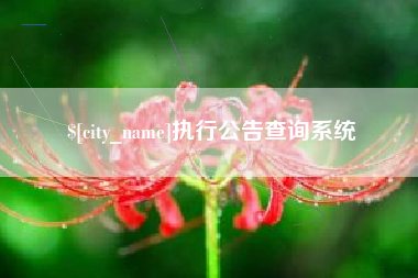 梁山执行公告查询系统