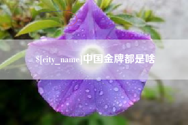梁山中国金牌都是啥