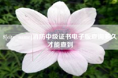梁山消防中级证书电子版查询多久才能查到