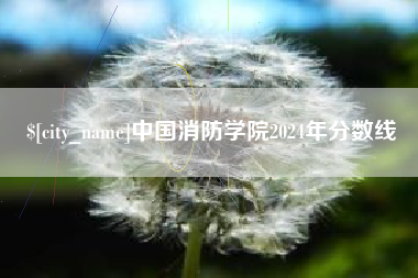 梁山中国消防学院2024年分数线