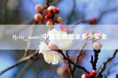 梁山中国金牌能拿多少奖金