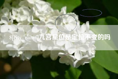 梁山九宫星位是定位不变的吗