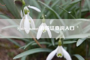 梁山消防证查询入口