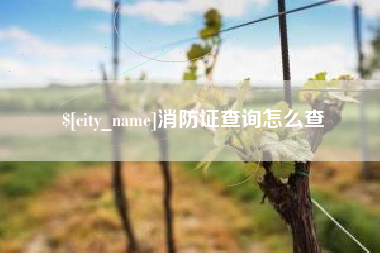 梁山消防证查询怎么查