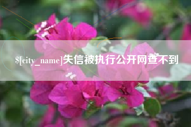梁山失信被执行公开网查不到