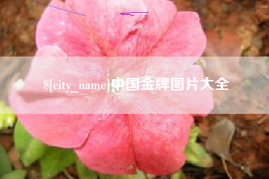 梁山中国金牌图片大全