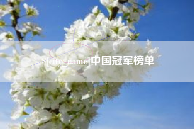 梁山中国冠军榜单