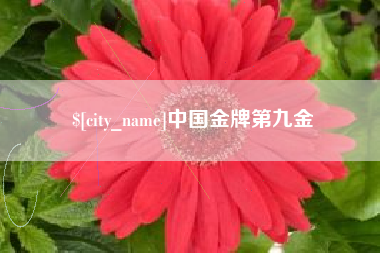 梁山中国金牌第九金
