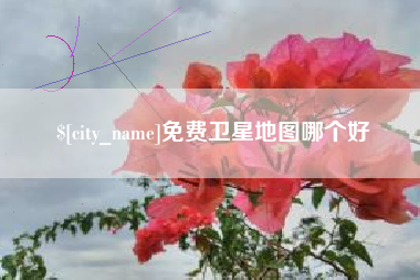 梁山免费卫星地图哪个好