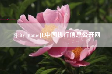 梁山1.中国执行信息公开网