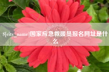 梁山国家应急救援员报名网址是什么