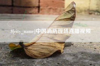 梁山中国消防现场直播视频