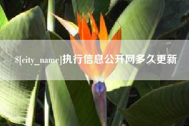 梁山执行信息公开网多久更新