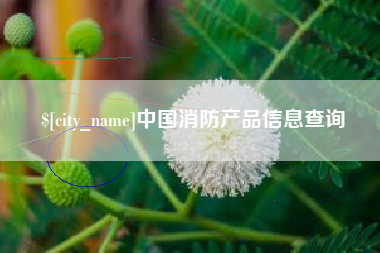 梁山中国消防产品信息查询