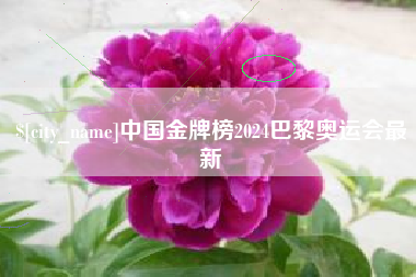 梁山中国金牌榜2024巴黎奥运会最新