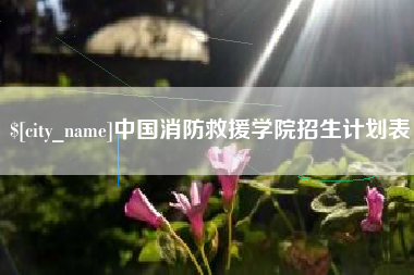梁山中国消防救援学院招生计划表