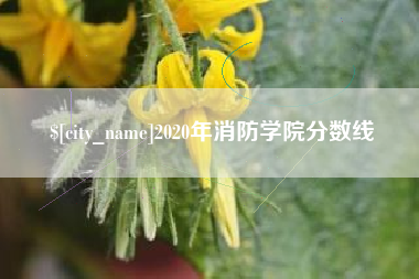 梁山2020年消防学院分数线