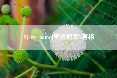 梁山奥运冠军9宫格