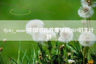梁山中国消防救援学院2019招生计划